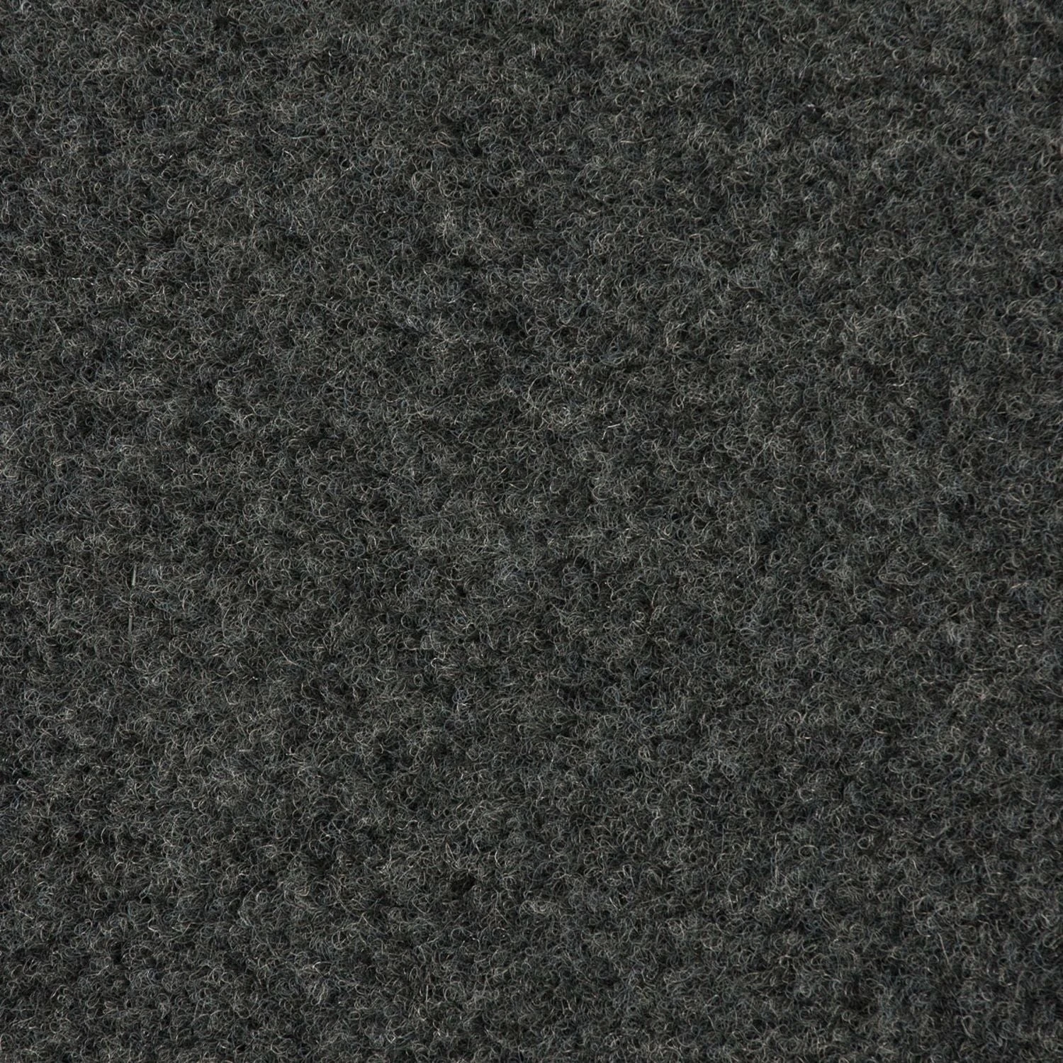 SB-D-CHLGR/12W3v3 - Image 2